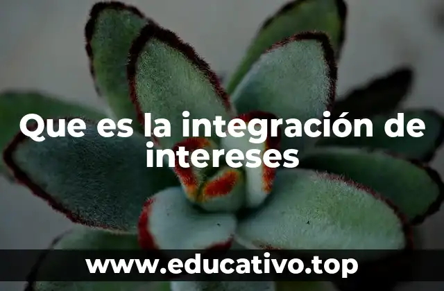 Que es la integración de intereses