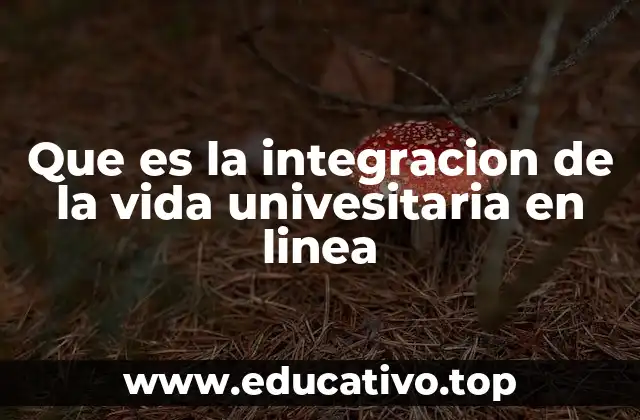 Que es la integracion de la vida univesitaria en linea