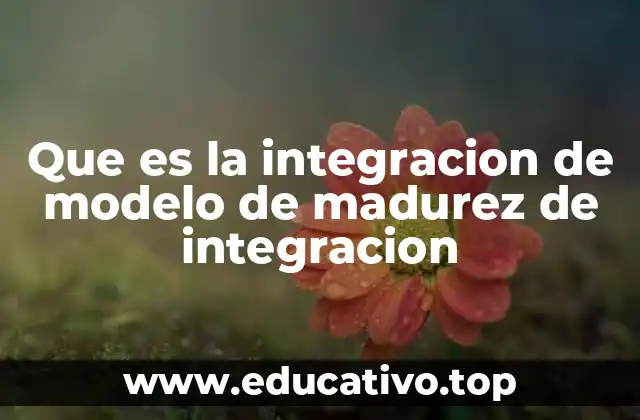 Que es la integracion de modelo de madurez de integracion