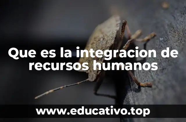 Que es la integracion de recursos humanos