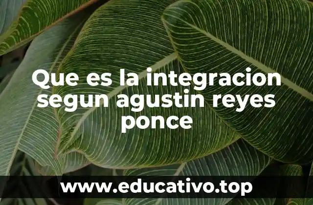 Que es la integracion segun agustin reyes ponce
