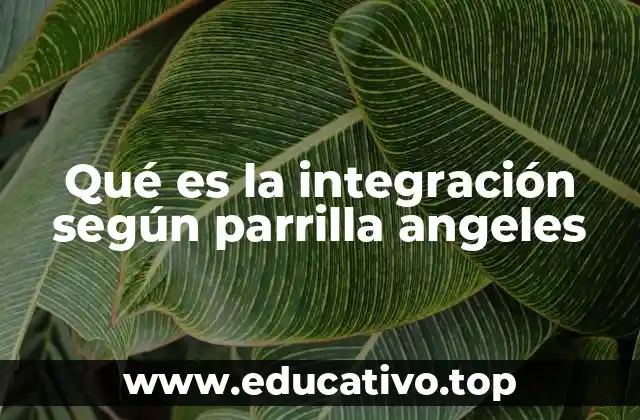 Qué es la integración según parrilla angeles