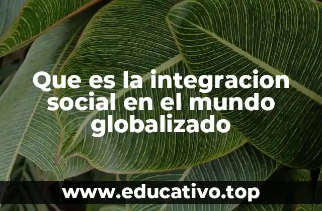 La importancia de la cohesión social en un mundo interconectado