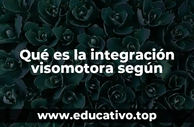 Qué es la integración visomotora según