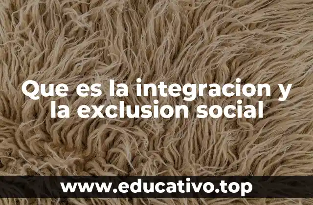 Que es la integracion y la exclusion social