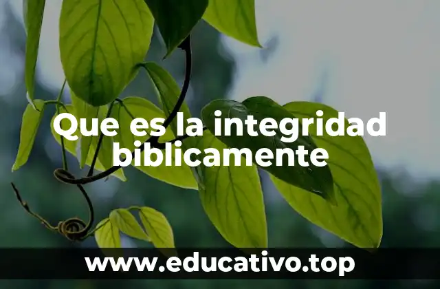 Que es la integridad biblicamente
