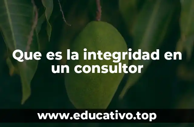 Que es la integridad en un consultor