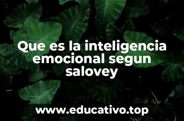 Que es la inteligencia emocional segun salovey