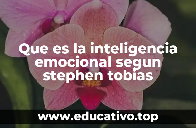 Que es la inteligencia emocional segun stephen tobias