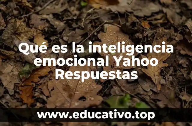 Qué es la inteligencia emocional Yahoo Respuestas