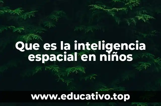 Que es la inteligencia espacial en niños