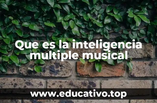 Que es la inteligencia multiple musical