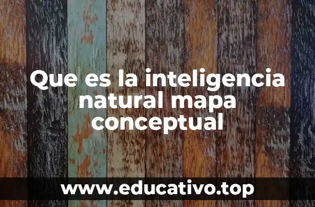 Que es la inteligencia natural mapa conceptual