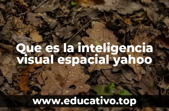 Que es la inteligencia visual espacial yahoo