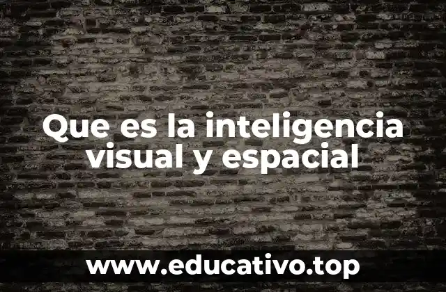 Que es la inteligencia visual y espacial