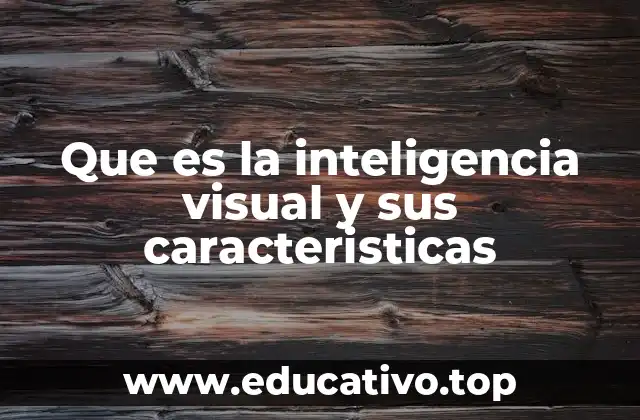 Que es la inteligencia visual y sus caracteristicas