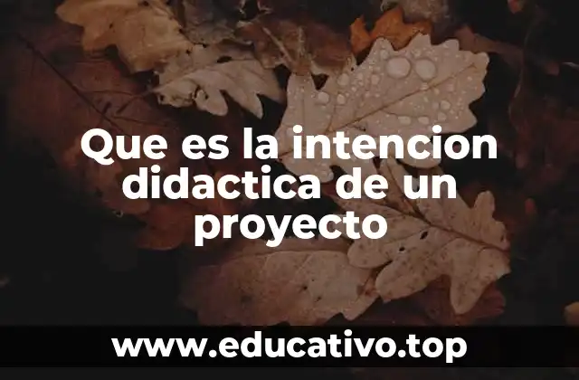 Que es la intencion didactica de un proyecto