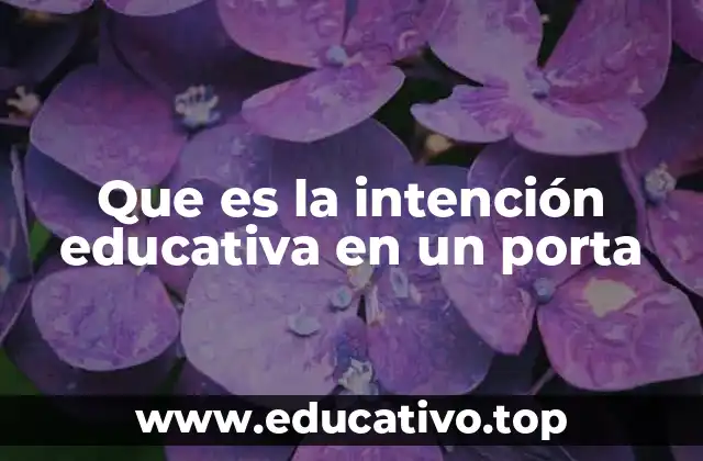 La intención detrás de los portafolios en la educación