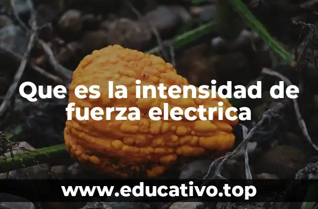 Que es la intensidad de fuerza electrica