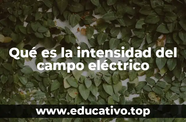 Qué es la intensidad del campo eléctrico
