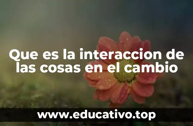 Que es la interaccion de las cosas en el cambio