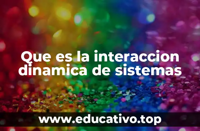 Que es la interaccion dinamica de sistemas