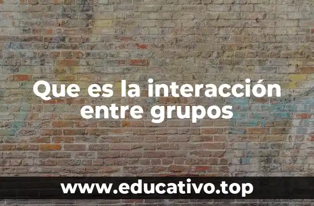 Que es la interacción entre grupos