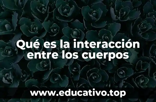 Qué es la interacción entre los cuerpos