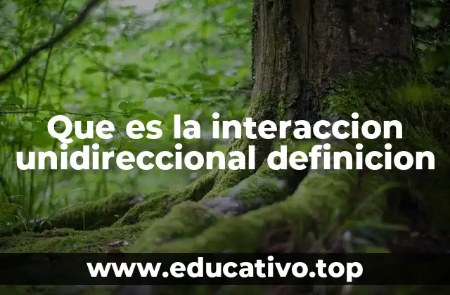 Que es la interaccion unidireccional definicion