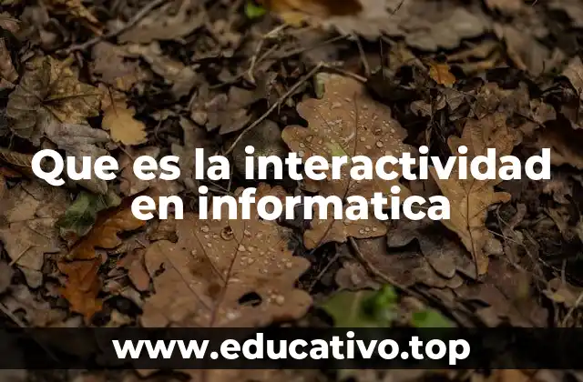 Que es la interactividad en informatica