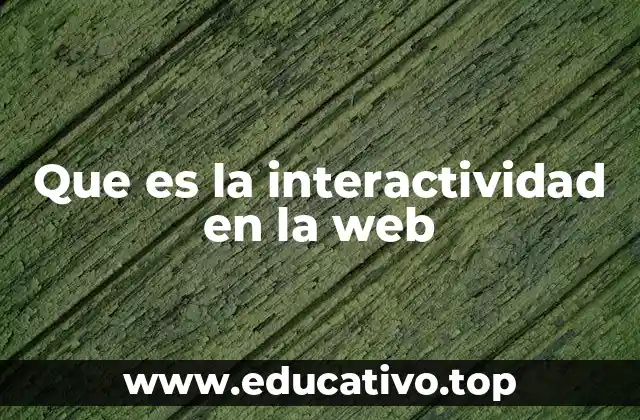 Que es la interactividad en la web