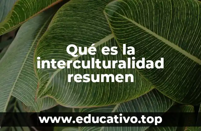 Qué es la interculturalidad resumen