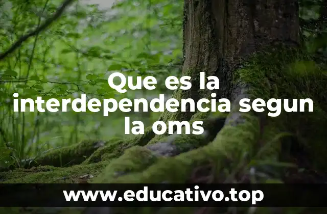Que es la interdependencia segun la oms