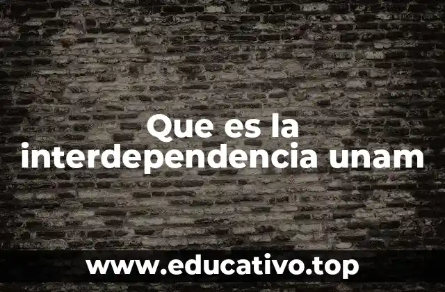 Que es la interdependencia unam