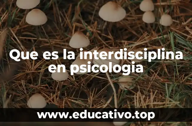 Que es la interdisciplina en psicologia