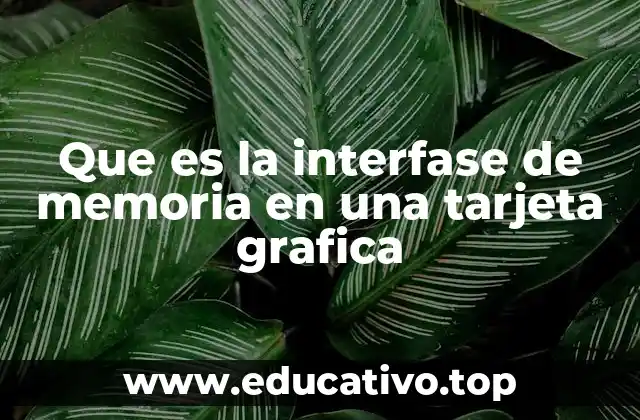 Que es la interfase de memoria en una tarjeta grafica