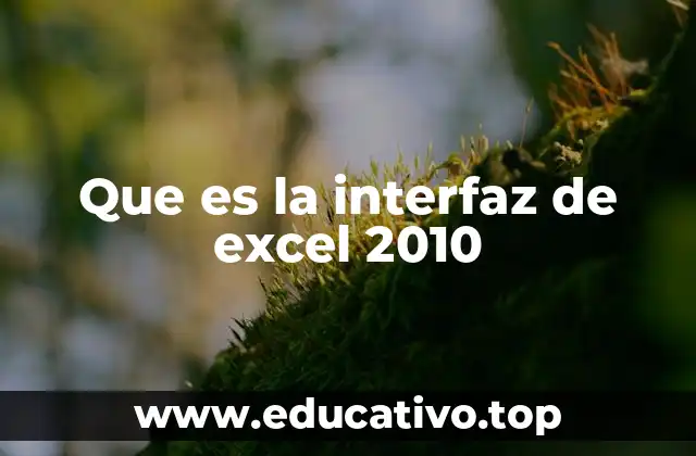 Que es la interfaz de excel 2010