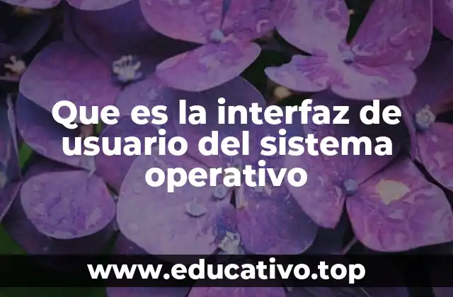 Que es la interfaz de usuario del sistema operativo