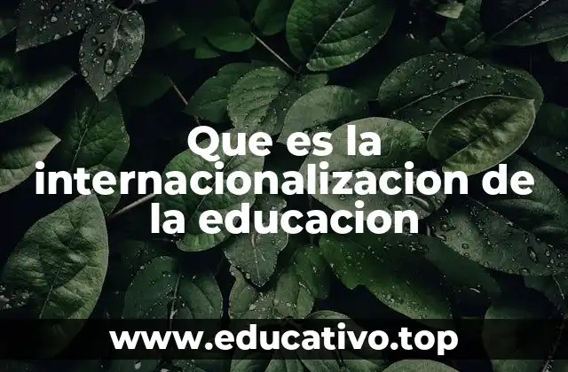 Que es la internacionalizacion de la educacion