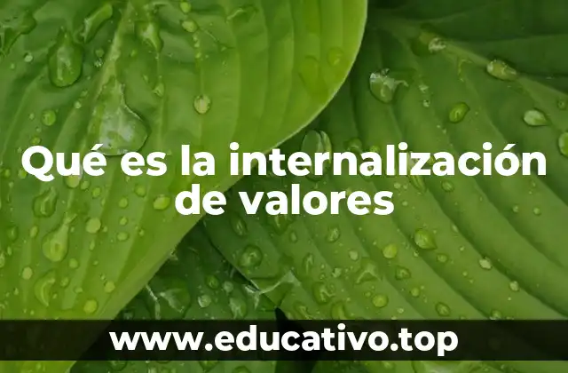 Qué es la internalización de valores
