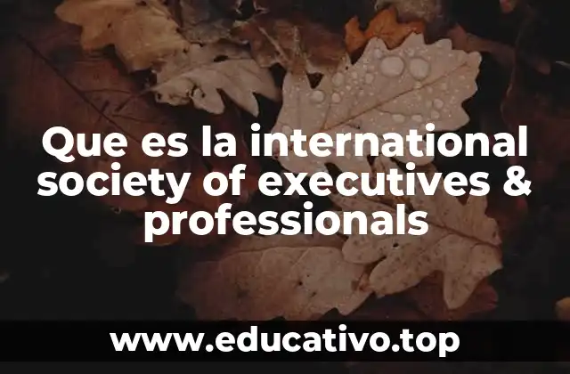 Que es la international society of executives & professionals