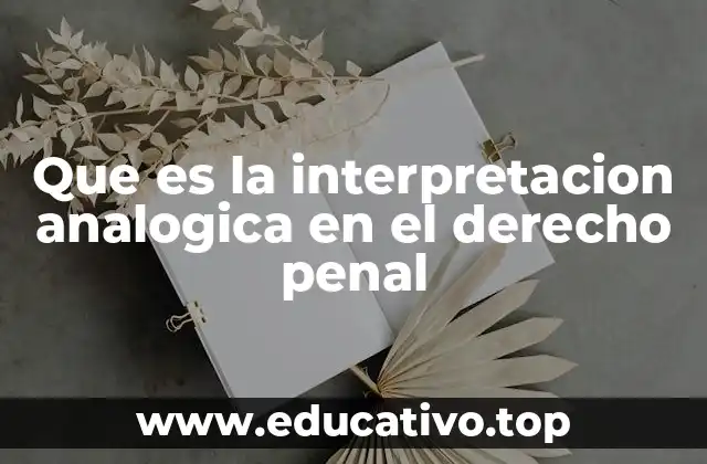 Que es la interpretacion analogica en el derecho penal