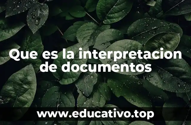 Que es la interpretacion de documentos