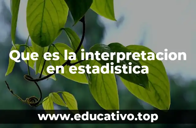 Que es la interpretacion en estadistica