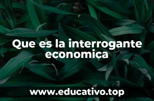 Que es la interrogante economica
