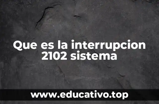 Que es la interrupcion 2102 sistema