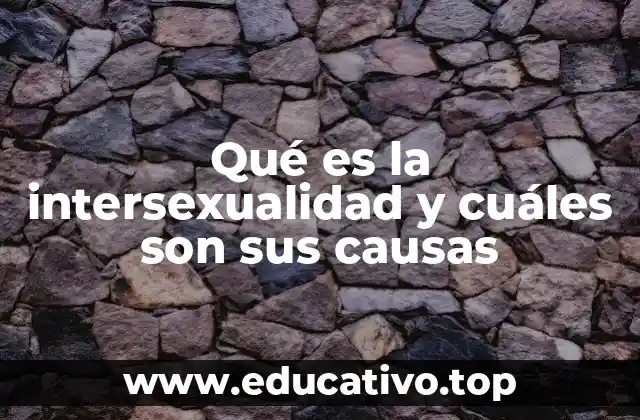 Qué es la intersexualidad y cuáles son sus causas