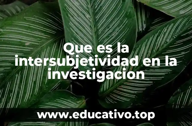 Que es la intersubjetividad en la investigacion