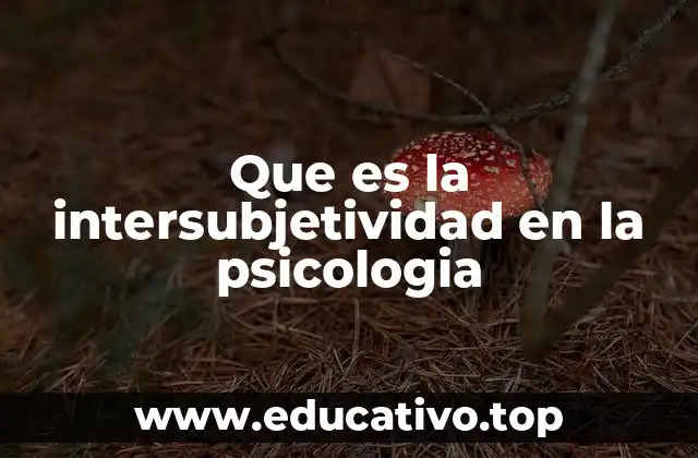 Que es la intersubjetividad en la psicologia