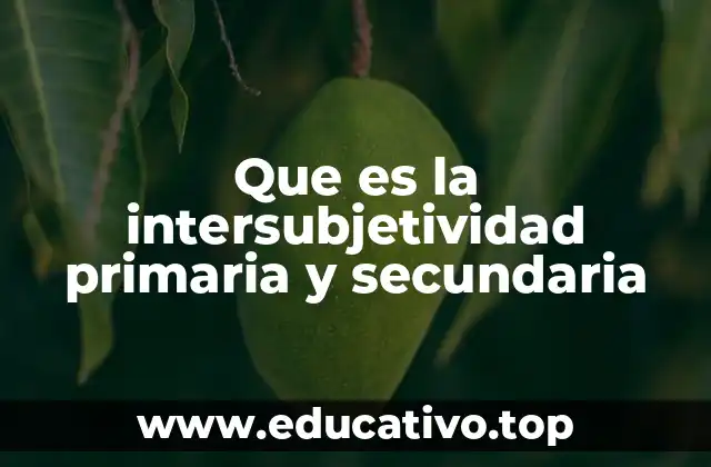 Que es la intersubjetividad primaria y secundaria
